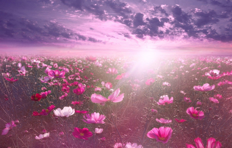 gallery/b865682e6f468c356e9bb2781c7de05b